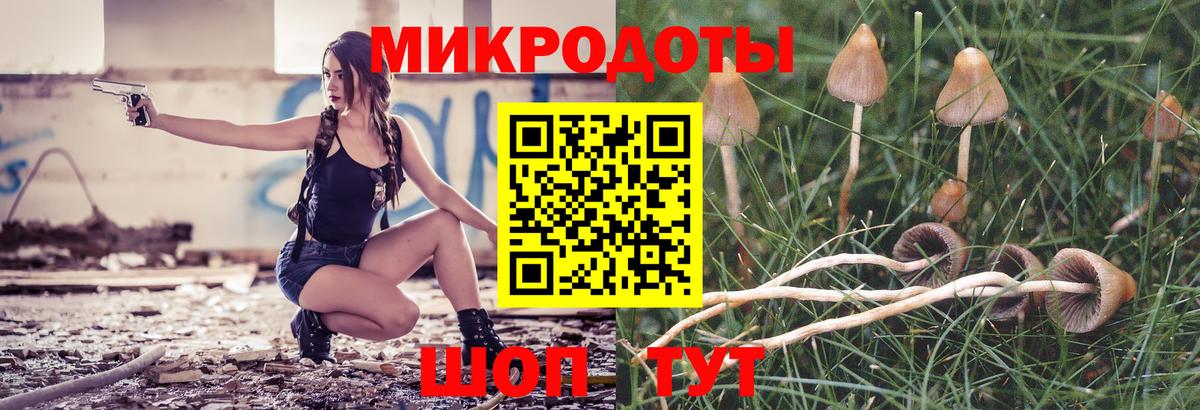 Муравленко  Галлюциногенные грибы Psilocybe  Вход с VPN 